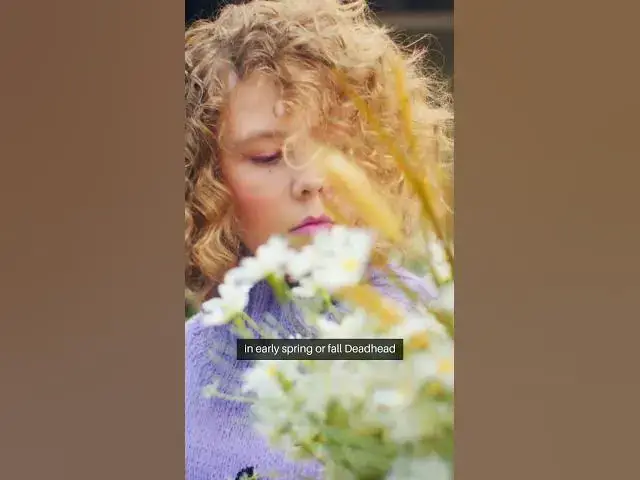 Video thumbnail for The Calendula Revolution Grow Now #CalendulaMagic #GardenWisdom 🌿💛#CalendulaBenefits  #facts