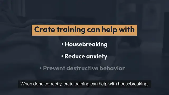 Video thumbnail for Crate Training Puppies