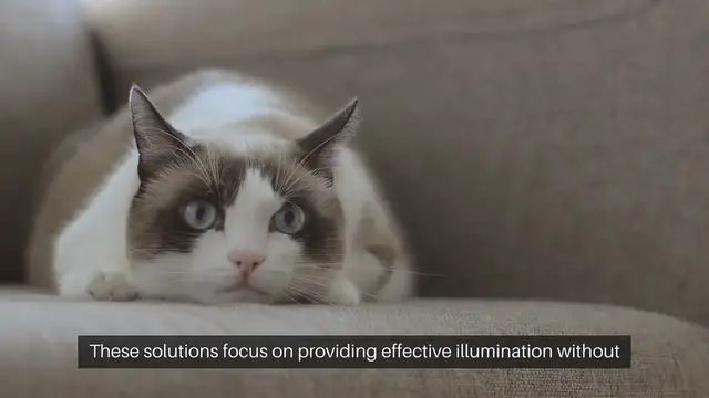 Video thumbnail for Pet Safe Lighting Solutions