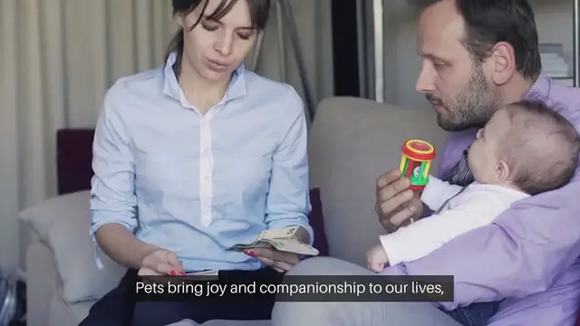 'Video thumbnail for Budgeting for Pet Expenses'