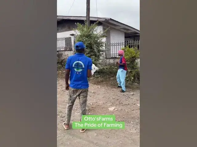 Video thumbnail for 😅🐔 The Customer Was Afraid to Hold a Live Chicken!