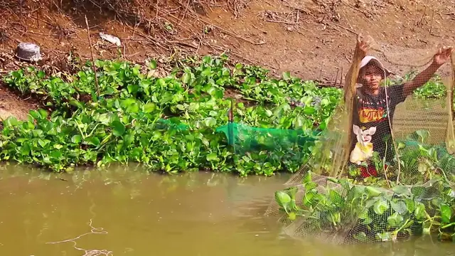 'Video thumbnail for Wow amazing man catch fish'