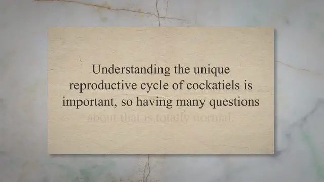 'Video thumbnail for How Long Does It Take For Cockatiel Eggs To Hatch?'