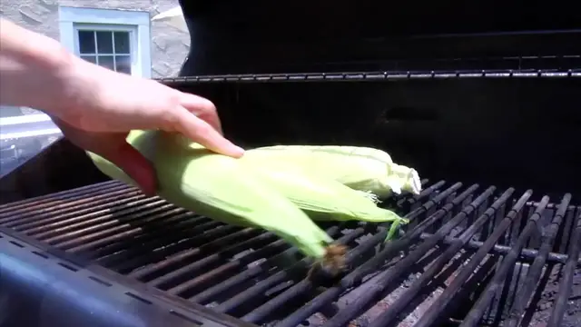 'Video thumbnail for HOW TO COOK CORN ON THE COB 3 WAYS Boil Microwave Grill(720P HD)'