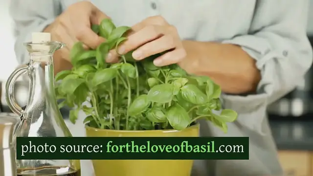 Video thumbnail for 30 Awesome, Amazing Healthy Salads You Won’t Regret Trying: