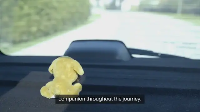 'Video thumbnail for Traveling with Pets by Car'