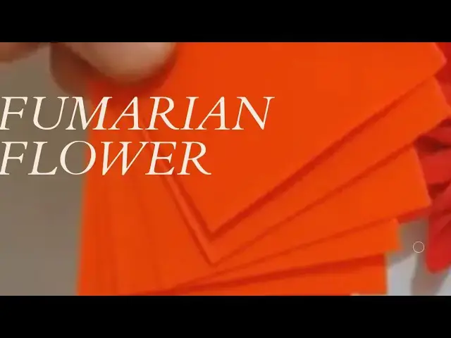Video thumbnail for Foamic sheet flower