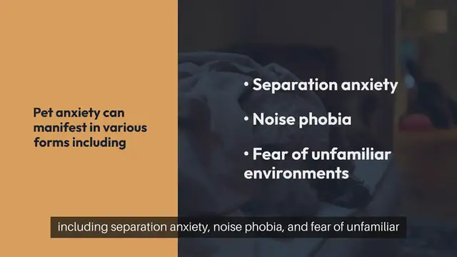 Video thumbnail for Pet Anxiety Solutions