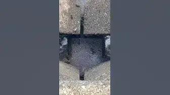 Video thumbnail for Little crabs😘😍🥰#shorts