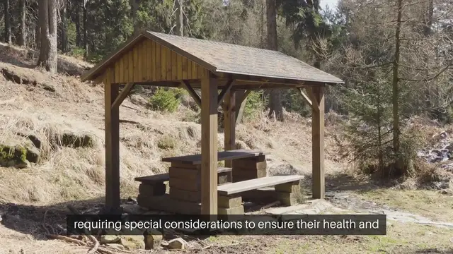 Video thumbnail for Hot Climate Pets