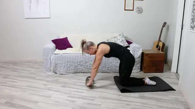 'Video thumbnail for 1. Ab Roller'