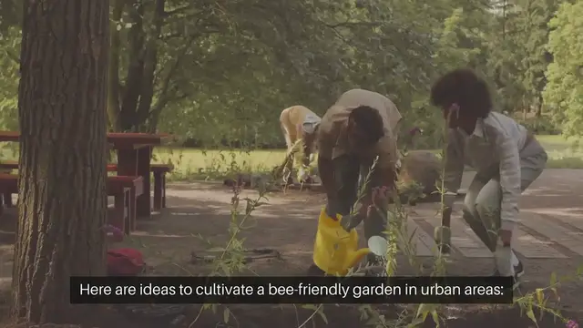 Video thumbnail for Bee Garden Ideas for Urban Spaces