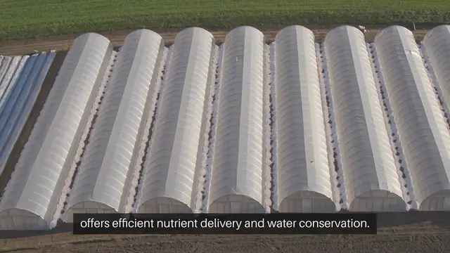 Video thumbnail for Aeroponic Gardening Mistakes to Avoid