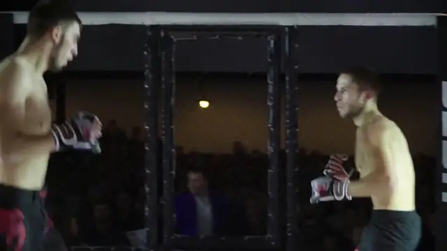 Video thumbnail for Inside the UFC Experience