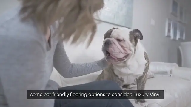 Video thumbnail for Pet Friendly Flooring Options