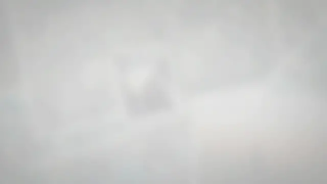 Video thumbnail for De-Shedding Dog With an Air Compressor