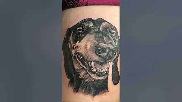 Video thumbnail for Dachshund tattoo designs #dachshund #tattoo #tattoostyle