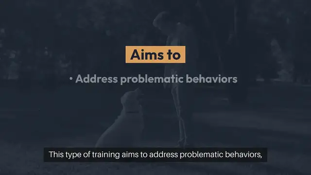 Video thumbnail for Dog Behavior Training