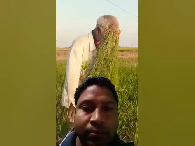 Video thumbnail for #banglafunny #banglatiktok #banglanatok #duet #shuffle #dance #shuffleboy #testosterone #funny