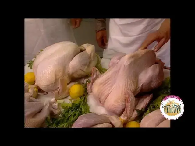Video thumbnail for What's the difference between wild and domesticated turkey? - Fun Fact Friday