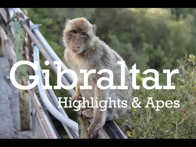 Video thumbnail for Gibraltar Highlights with Barbary Apes and Babies - Travel Vlog
