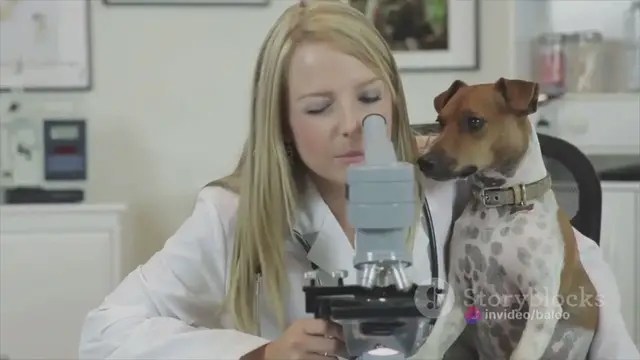 Video thumbnail for  A Microscopic Menace Unmasking Ascarias GSD