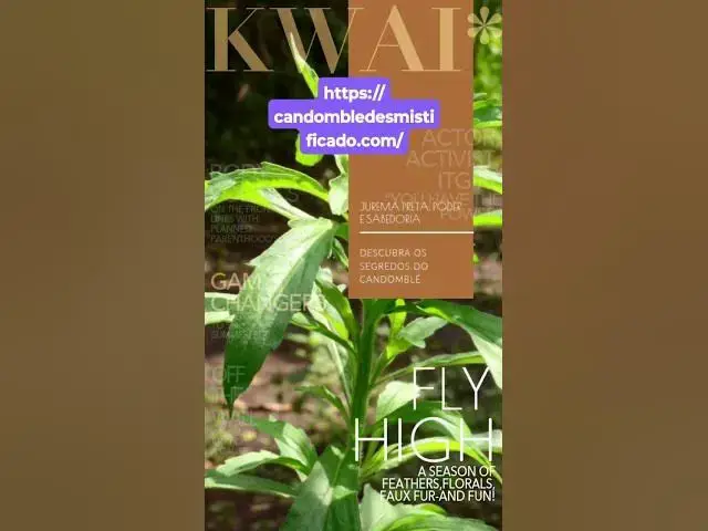 Video thumbnail for 28 de outubro de 2024