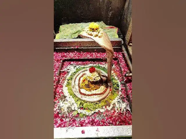 'Video thumbnail for omkareshwar Jyotirlinga daily darshan.11-May-2025 #jyotirlinga_darshan #omkareshwar #shiva #darshan'