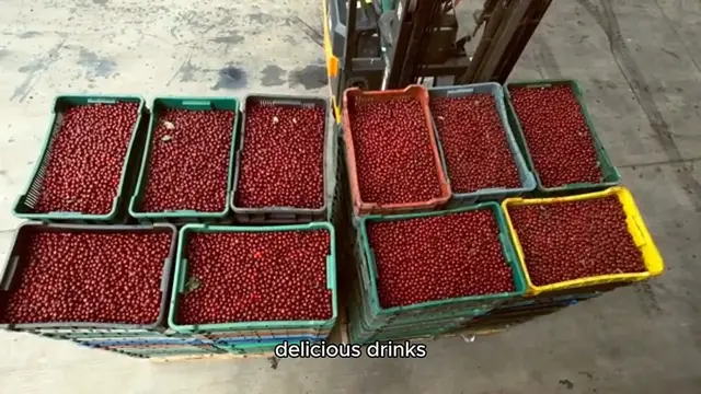 Video thumbnail for Berry Bliss Elixir