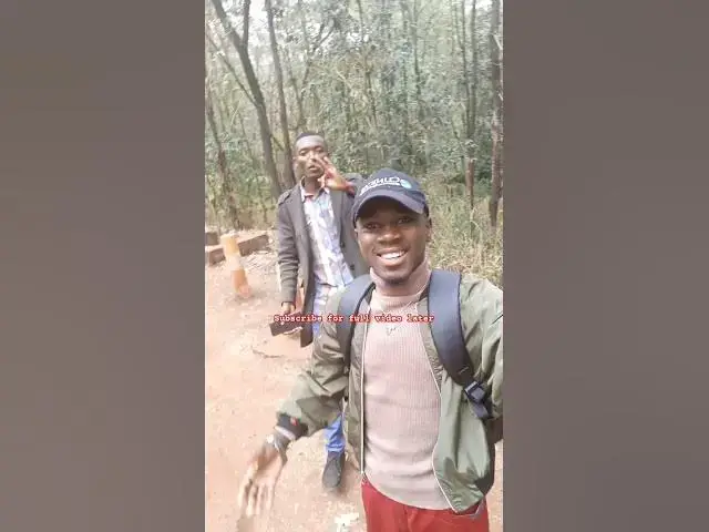 Video thumbnail for Forest #johnselephilip