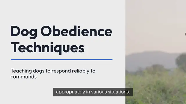 Video thumbnail for Dog Obedience Techniques