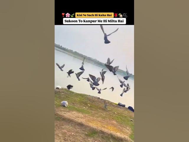 Video thumbnail for सुकून तो अपने कानपुर में है 🍃🌸😍❗️🫶🏻#kanpur#kanpurdiaries, #kanpurbloggers, #kanpur@mr_azmaik