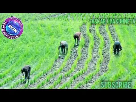 Video thumbnail for A_JOS