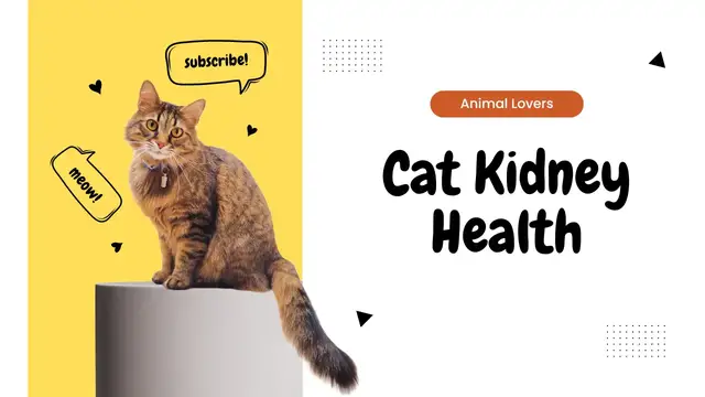 Video thumbnail for Cat Kidney Health