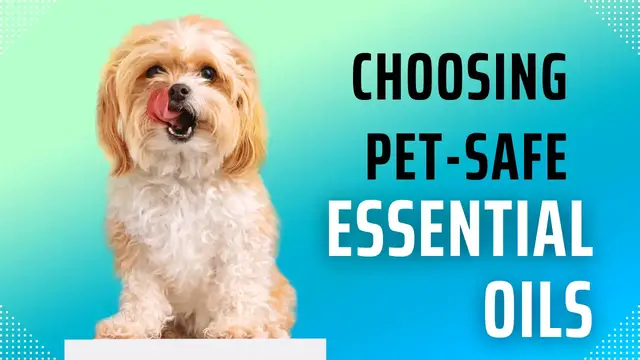 Video thumbnail for Choosing Pet-Safe Essential Oils