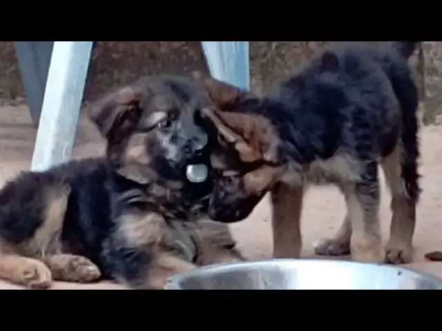 Video thumbnail for Blessed are Poor by Pastor Simon #newspringchurch #pastorsimonmaina