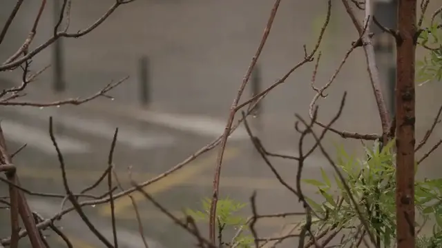 Video thumbnail for The Ultimate Favorite Emergency Rain Poncho: Your New Best Friend in a Downpour