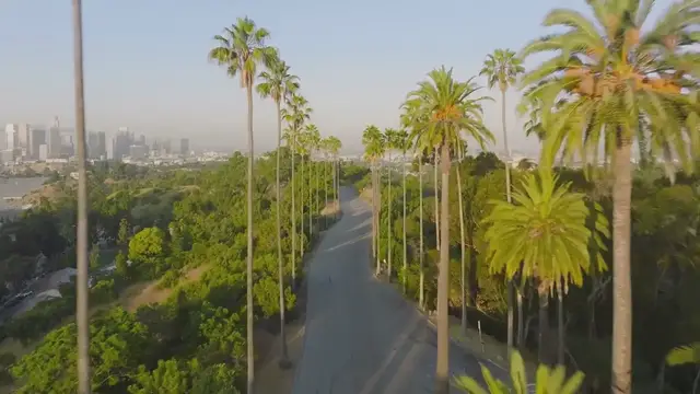 Video thumbnail for "Meghan Markle Joins Prince Harry at the 2024 ESPYs as He Accepts Pat Tillman Award"