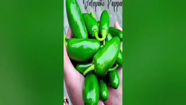 Video thumbnail for 15 Thai Chilies Substitute – Pro Food Recipes – for more information chack description link