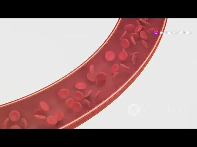 Video thumbnail for the Amazing Circulatory System!