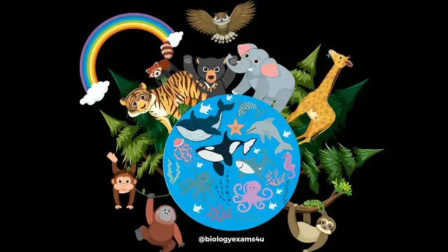 Video thumbnail for Animal Kingdom: Major Phyla with Examples