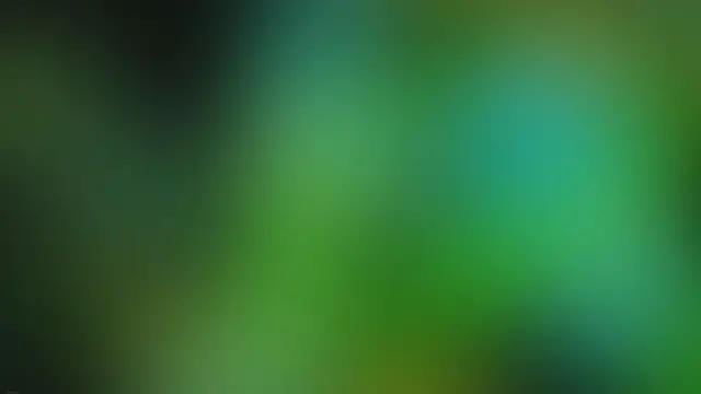 Video thumbnail for Paragraphica camera takes pictures without lens