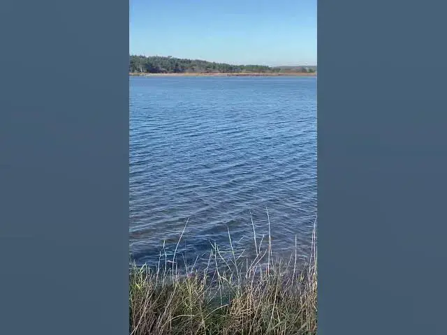 'Video thumbnail for Laguna de Frouxeira #coruña #galicia #naturelovers #water #birds #turismo'