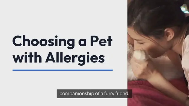 'Video thumbnail for Pet selection for Allergies'