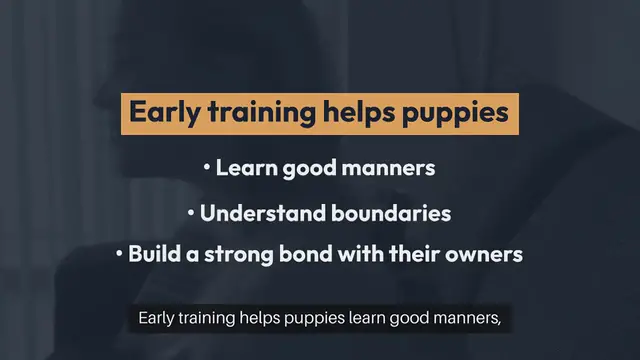 Video thumbnail for Puppy Training Techniques