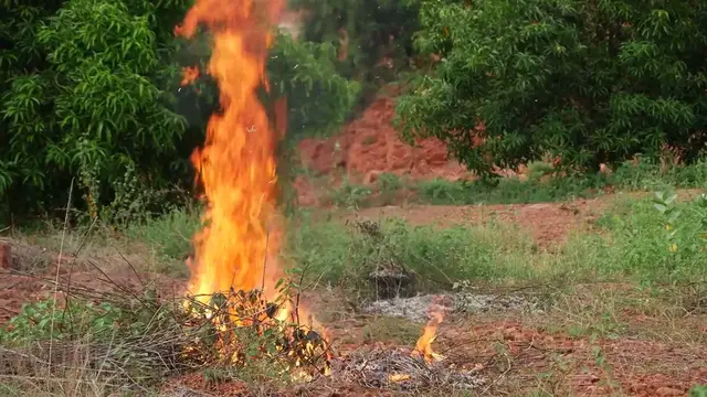 Video thumbnail for La Jolla Fire: A Hot Topic in a Cool Neighborhood