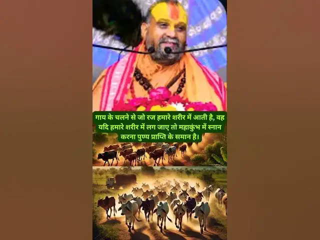 Video thumbnail for गाय की रज व्यासजी के अनुसार महाकुंभ का पुण्य कैसे पाएं?"@ashvinjoshi1393#gausewa#CowBlessings