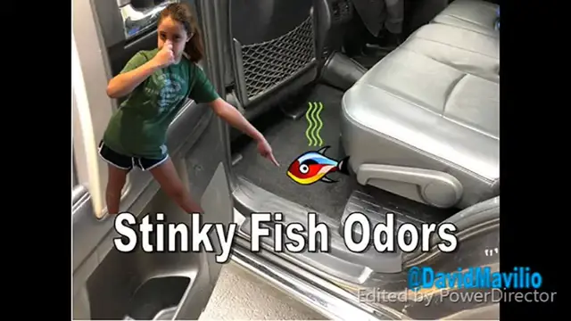 Video thumbnail for Auto Detailing How To Clean Car Carpet