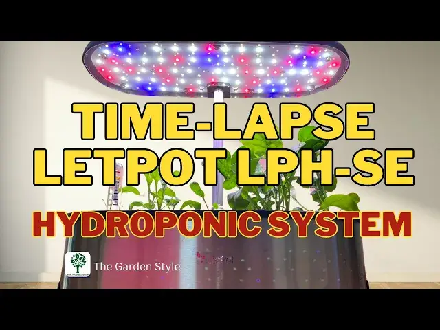 'Video thumbnail for The Future of Smart Hydroponics: LetPot Review and Time-Lapse LetPot LPH-SE #hydroponics #letpot'