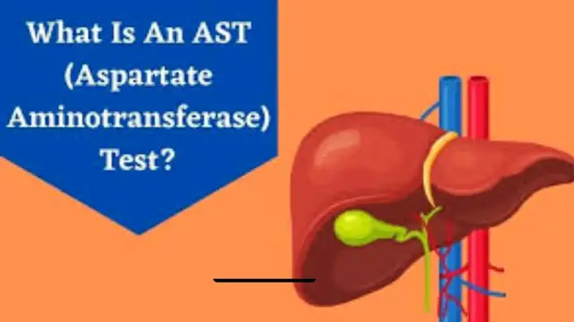 'Video thumbnail for What is the AST Test? | Normal Range, Critical Values, and Clinical Significance'